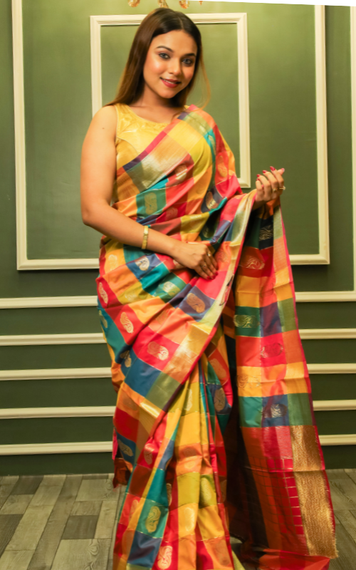 Pithani Butter Silk Saree